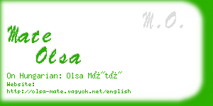 mate olsa business card